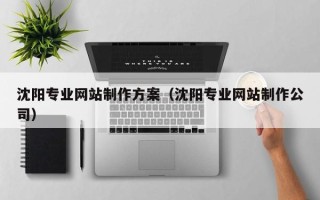 定西沈阳专业网站制作方案（沈阳专业网站制作公司）
